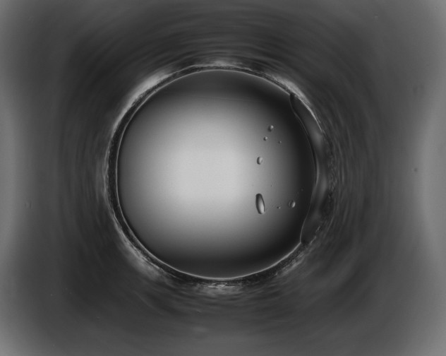 X0000086721139200704131038