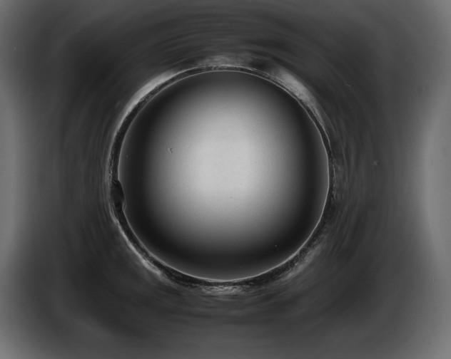 X0000086721141200704131038
