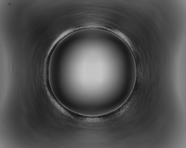 X0000086721142200704131038