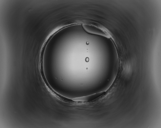 X0000086721143200704131038