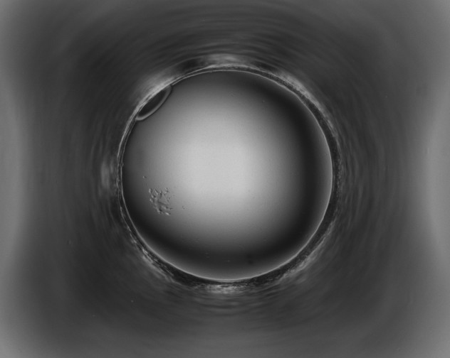 X0000086721145200704131038