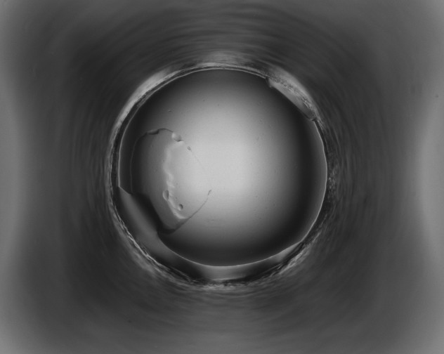 X0000086721146200704131038