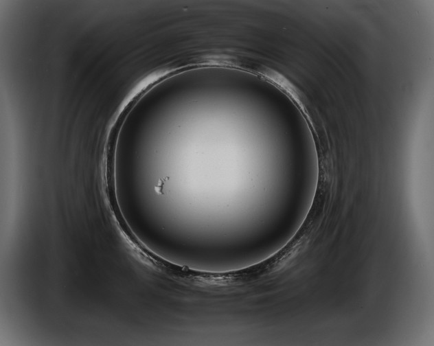 X0000086721147200704131038