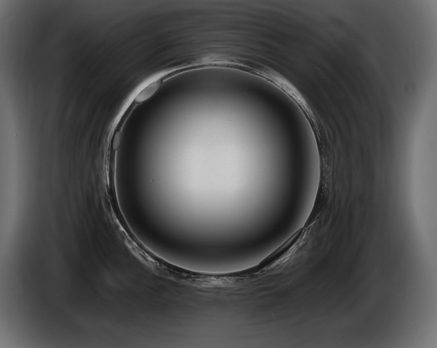 X0000086721148200704131038