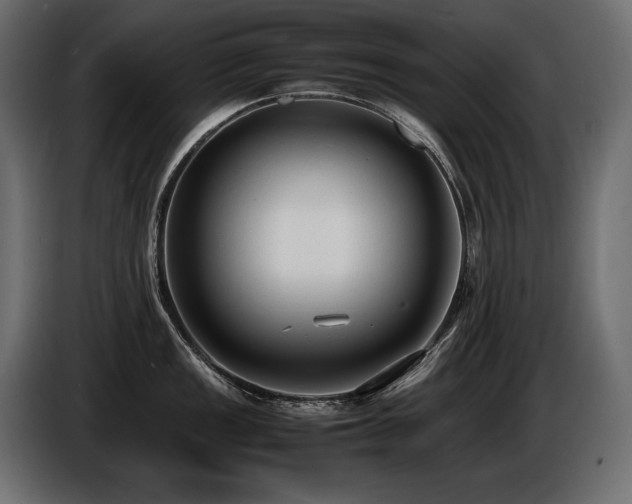 X0000086721149200704131038