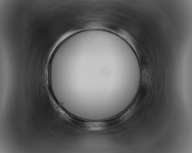 X0000086721150200704131038