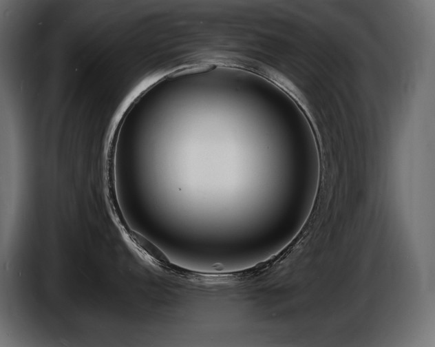 X0000086721152200704131038