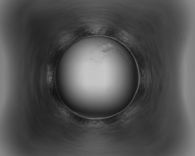 X0000086721154200704131037