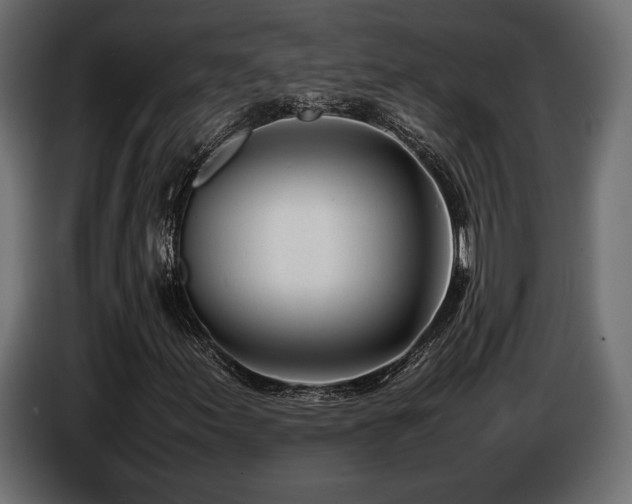 X0000086721155200704131037