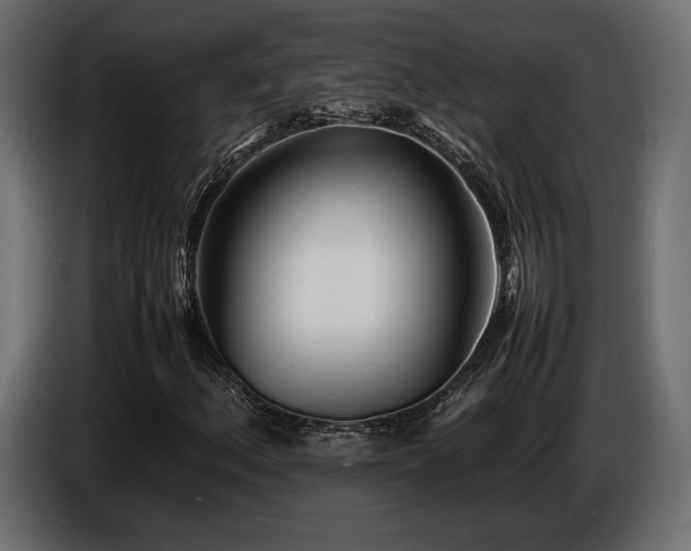 X0000086721156200704131037