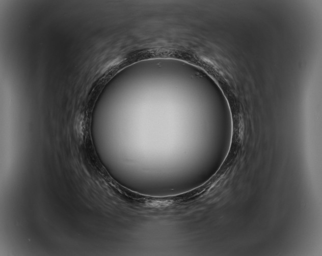 X0000086721157200704131037