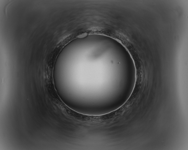X0000086721158200704131037