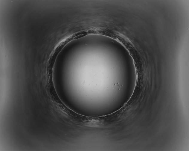 X0000086721160200704131037