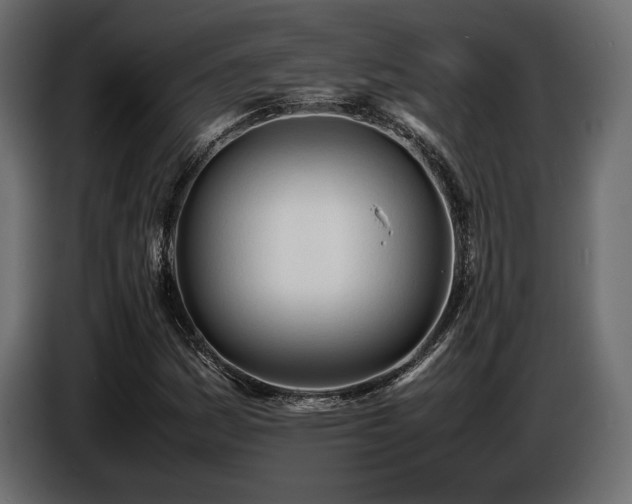 X0000086721161200704131037
