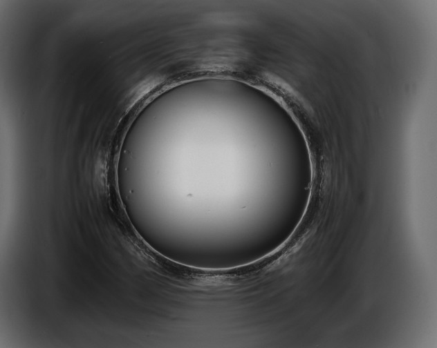 X0000086721162200704131037