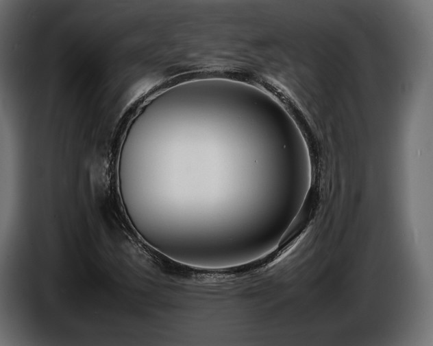 X0000086721163200704131037