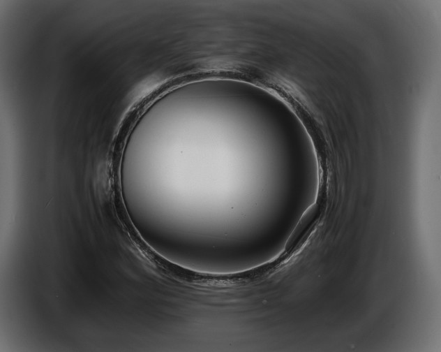 X0000086721164200704131037