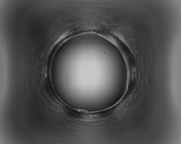 X0000086721165200704131037