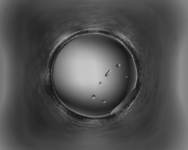 X0000086721167200704131037