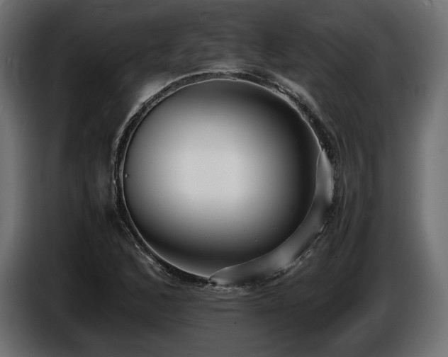 X0000086721168200704131037