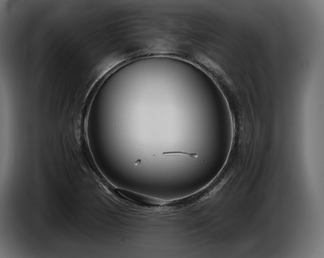 X0000086721170200704131037