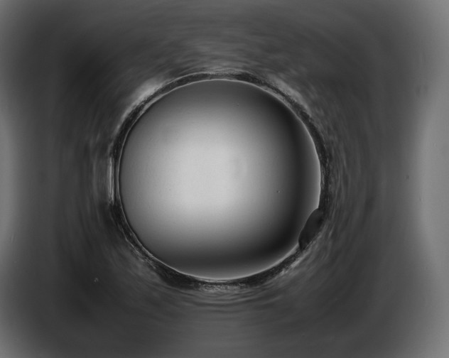 X0000086721171200704131037