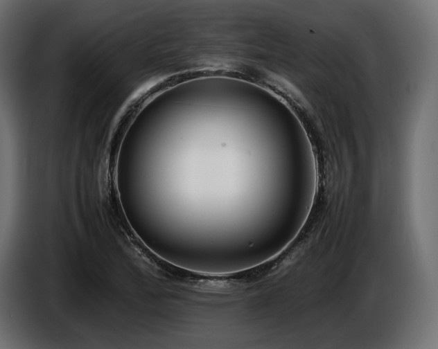 X0000086721172200704131037