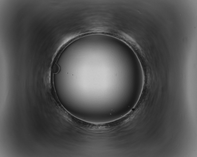 X0000086721174200704131037