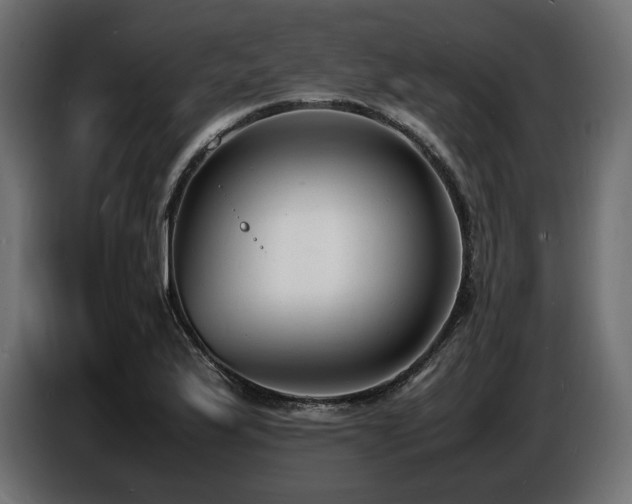 X0000086721175200704131037