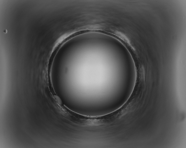 X0000086721176200704131037