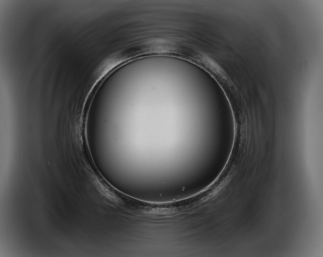 X0000086721178200704131037