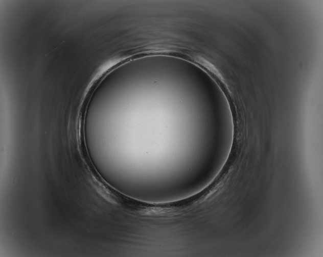 X0000086721179200704131037