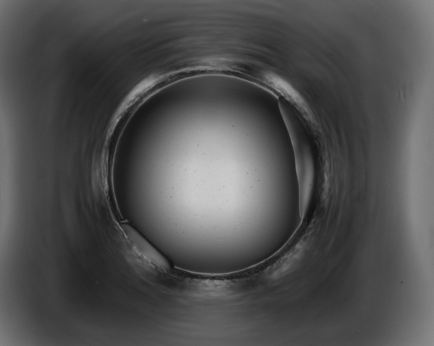 X0000086721180200704131037