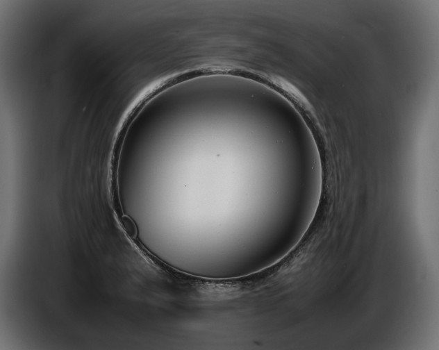 X0000086721183200704131037