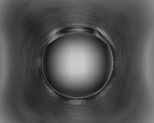 X0000086721185200704131037