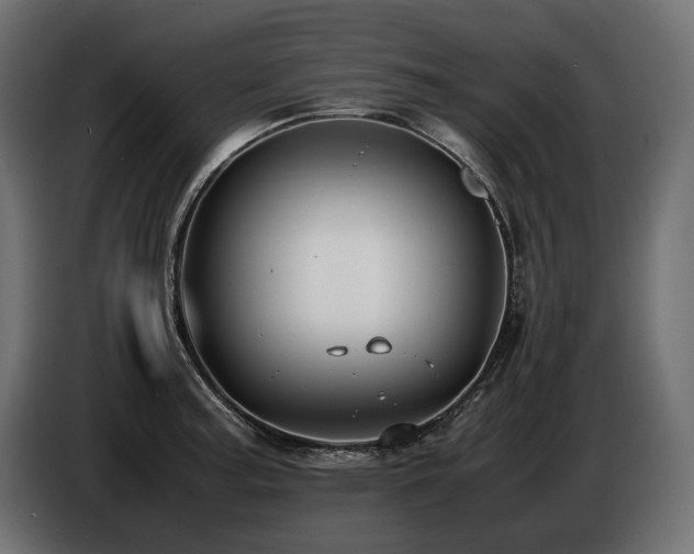 X0000086721187200704131037