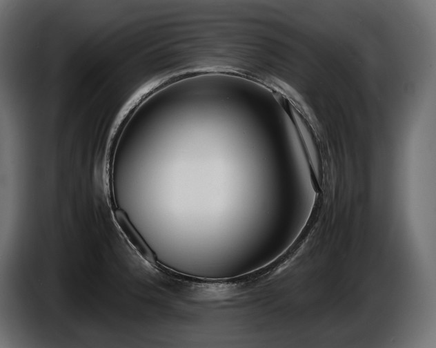 X0000086721188200704131037