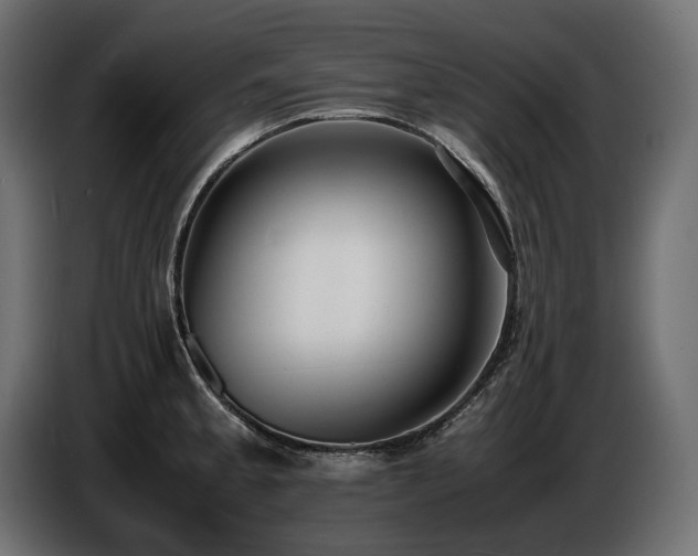 X0000086721189200704131037