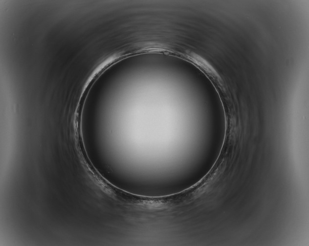 X0000086721190200704131037