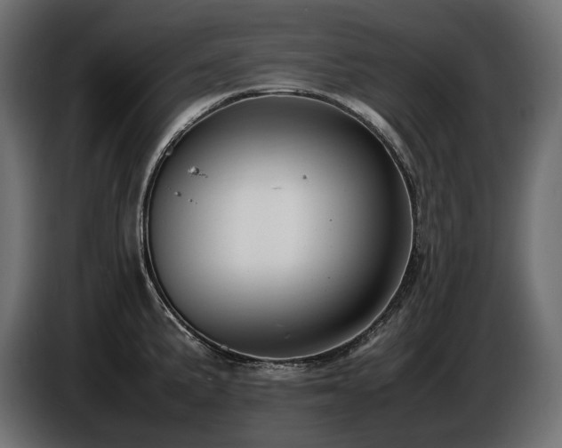 X0000086721191200704131037
