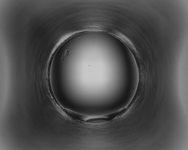 X0000086721192200704131037