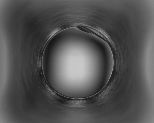 X0000086721193200704131037