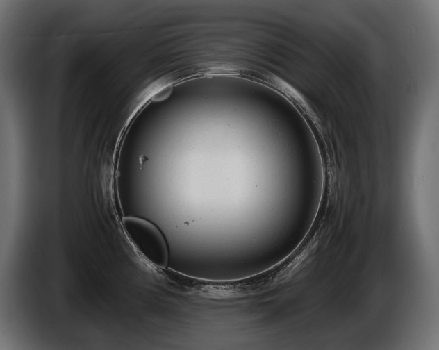X0000086721194200704131037
