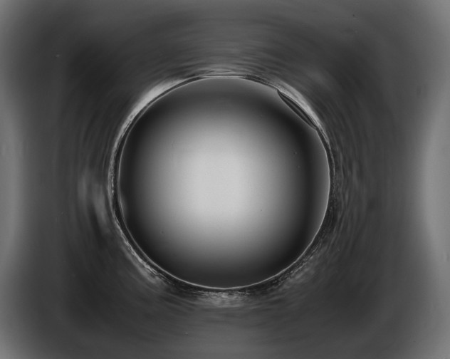 X0000086721195200704131037