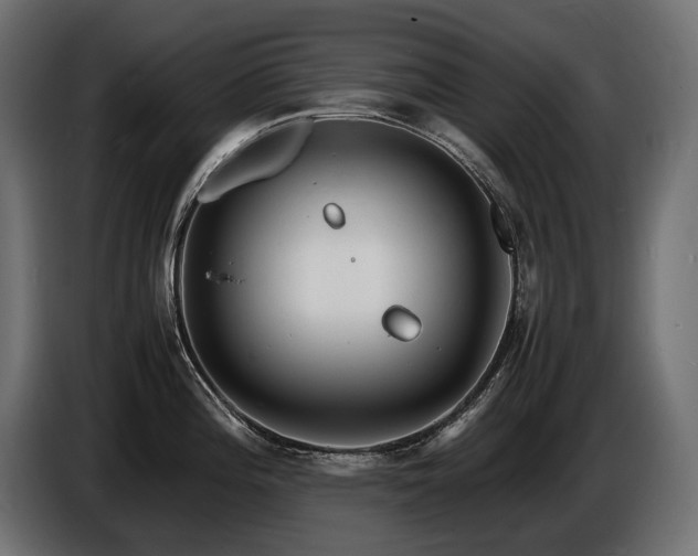 X0000086721196200704131037