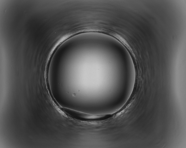 X0000086721197200704131037