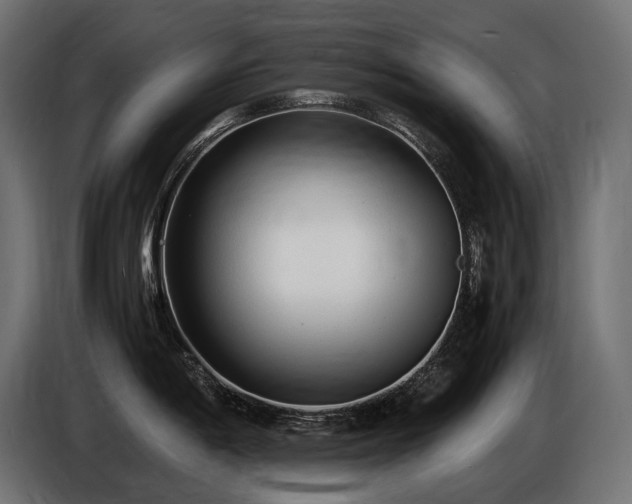 X0000086721198200704131037