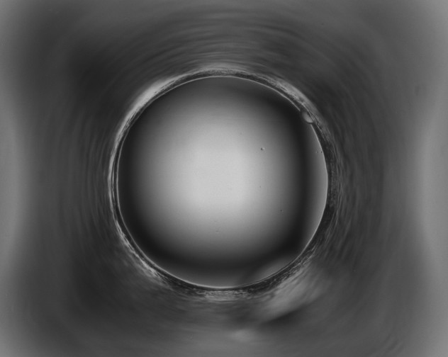 X0000086721199200704131037