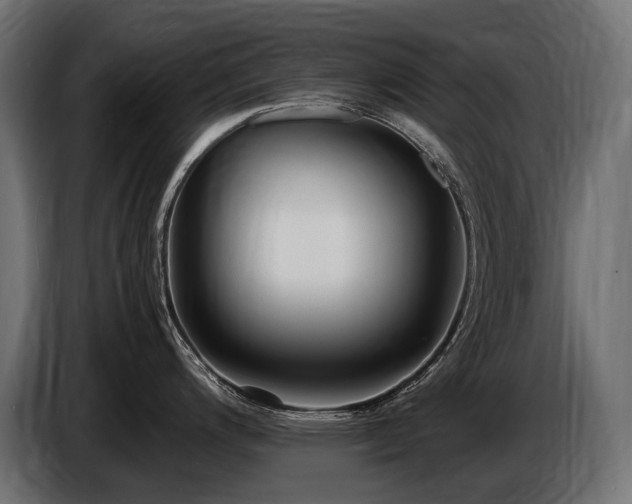 X0000086721200200704131037