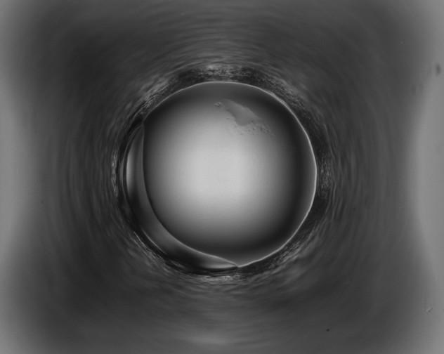 X0000086721202200704131036